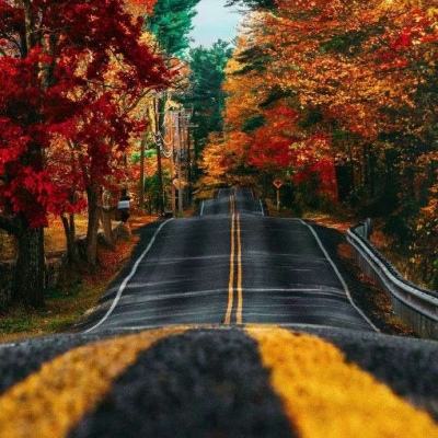 完美365体育截图