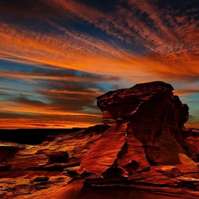 乐鱼官网手机版下载手机版